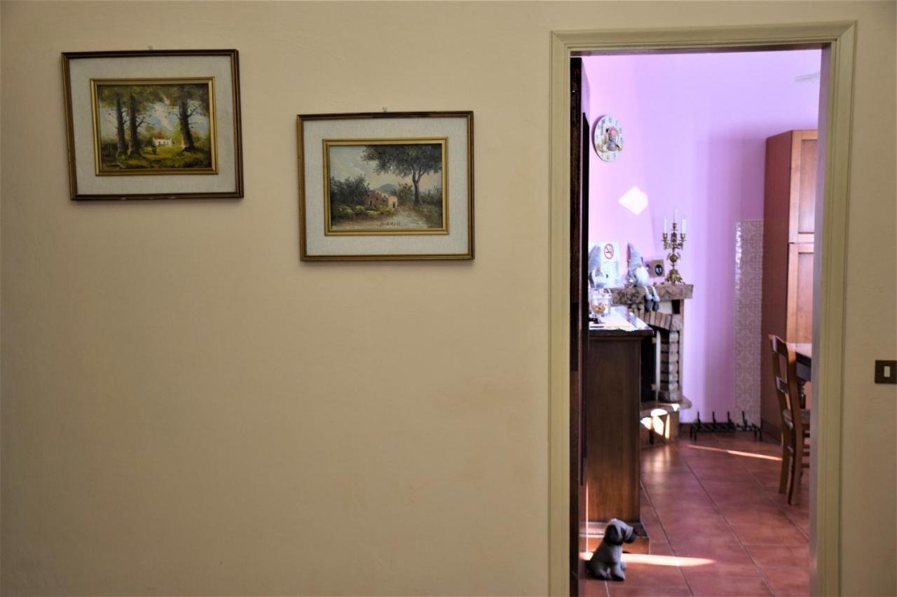 La Lanterna Di Lida E Beppe Bed & Breakfast Pisa Exterior photo